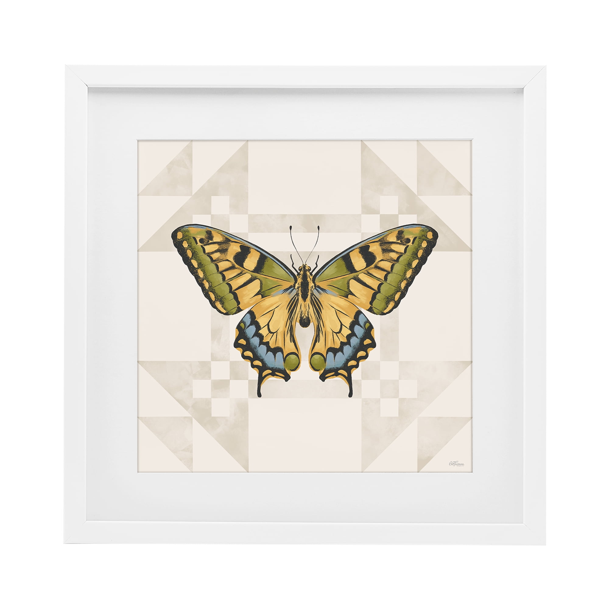 Stupell Industries Green Swallowtail Butterfly White Framed Print Under Glass, design by Cat Thurman Designs
