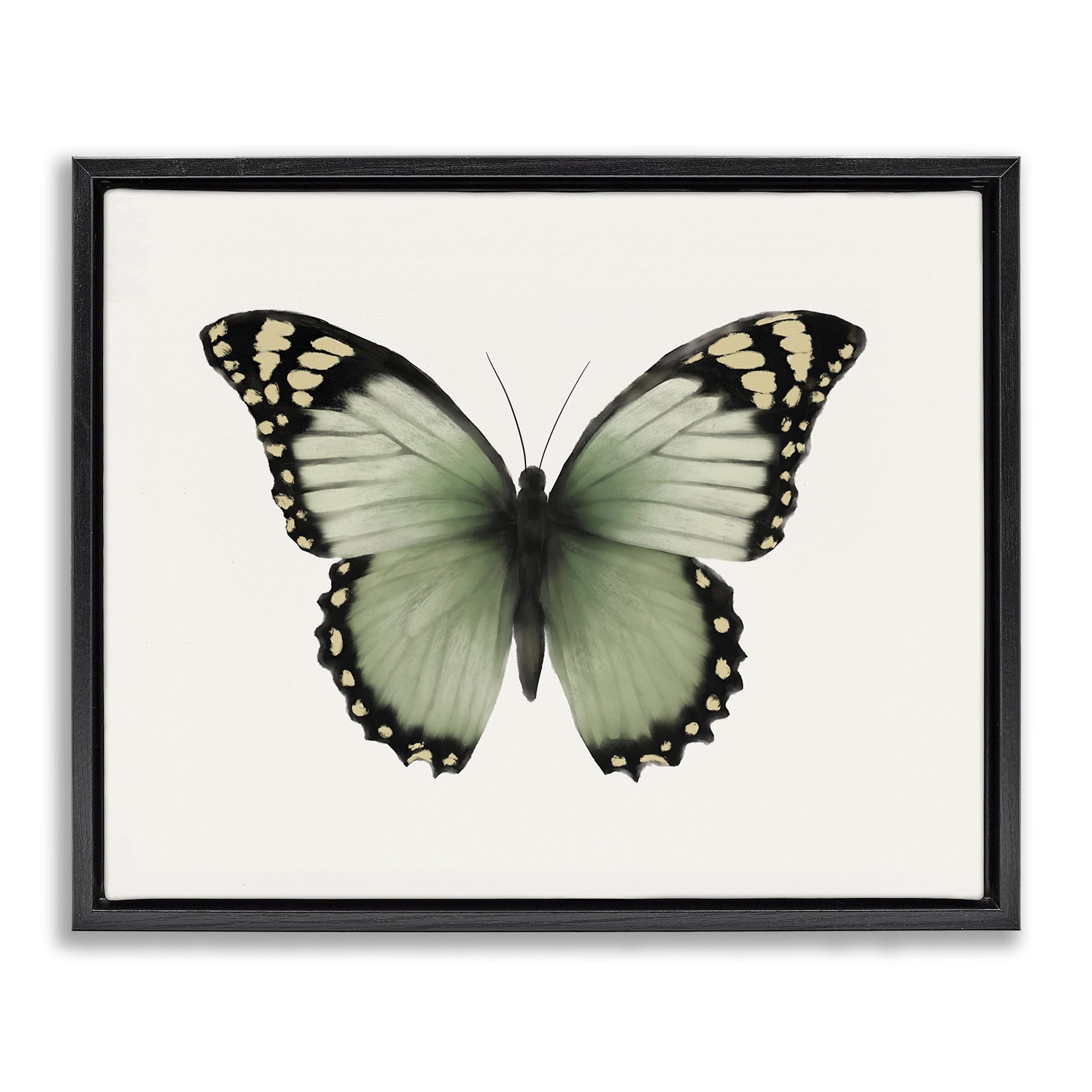 Stupell Industries Green Symmetrical Butterfly Animals Painting Black Floater Framed Canvas Art Print Wall Art, 31 x 25