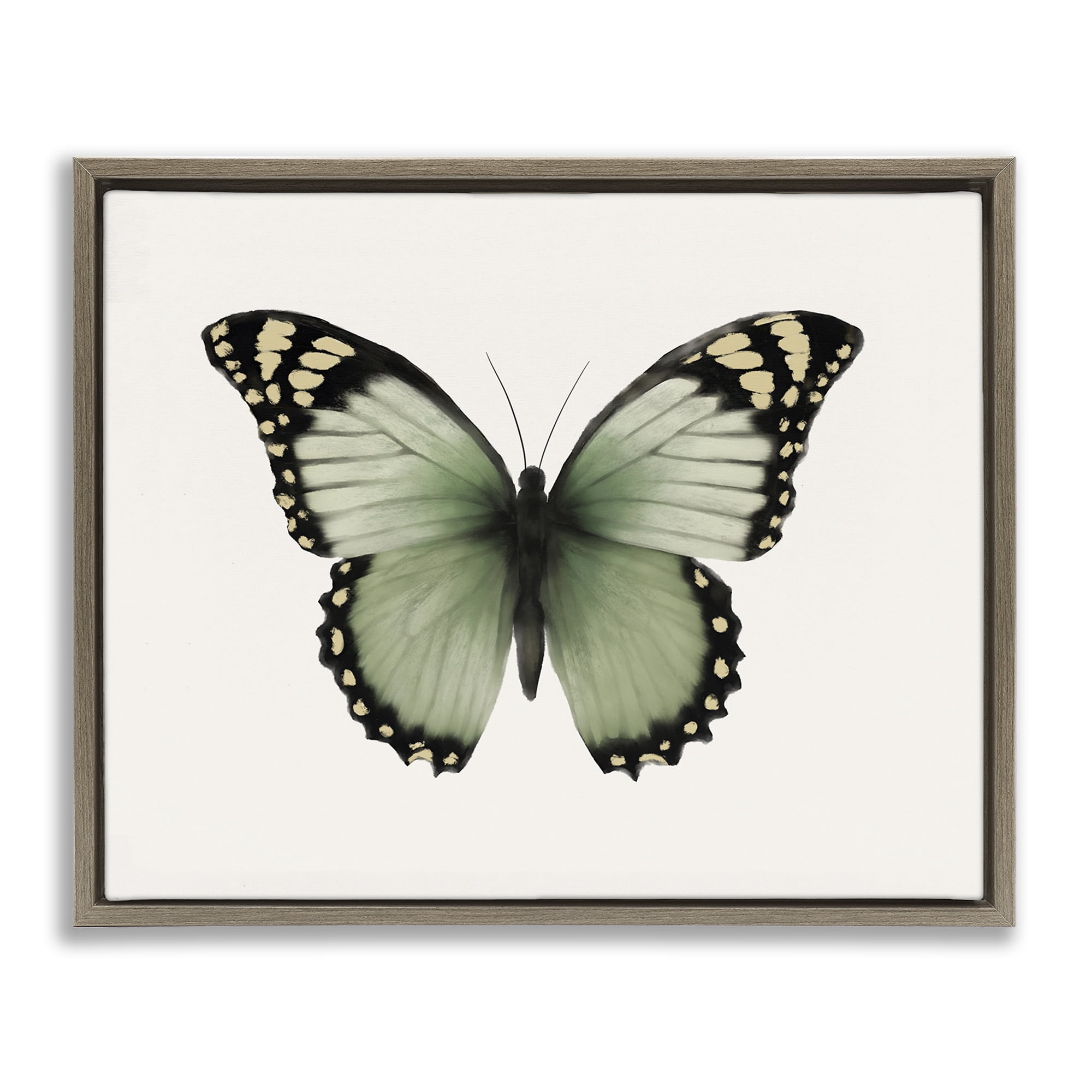 Stupell Industries Green Symmetrical Butterfly Animals Painting Brown Floater Framed Canvas Art Print Wall Art, 21 x 17