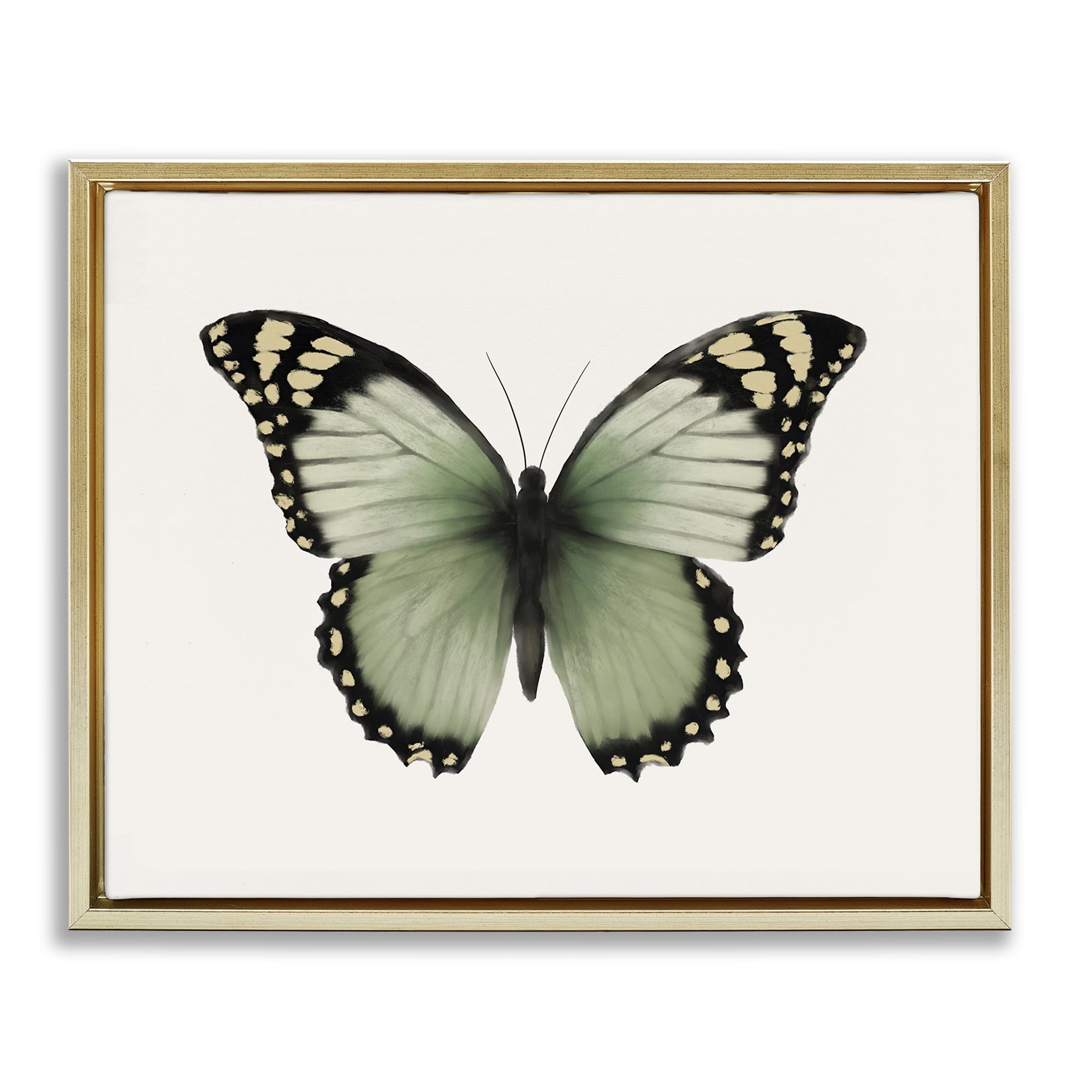 Stupell Industries Green Symmetrical Butterfly Animals Painting Gold Floater Framed Canvas Art Print Wall Art, 21 x 17