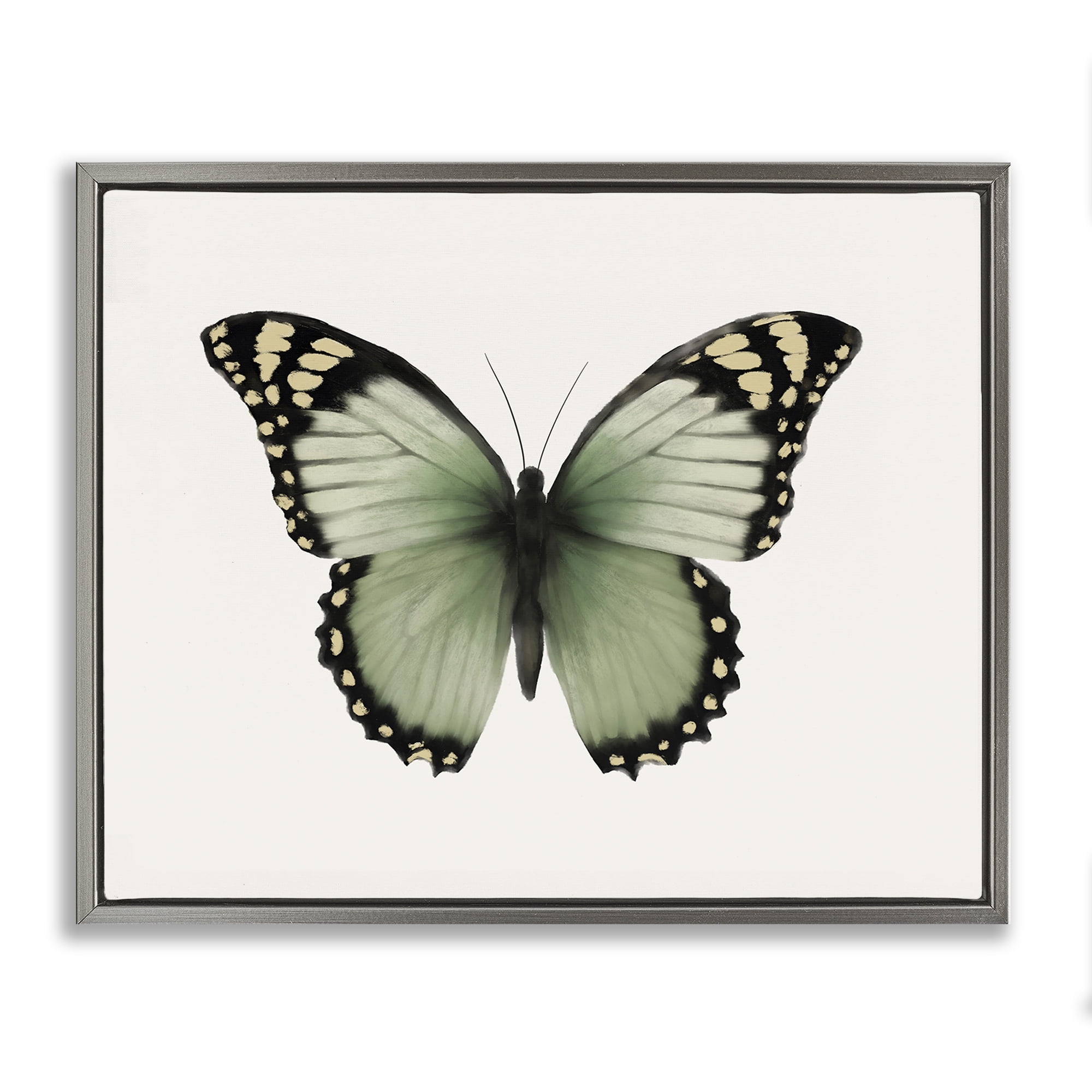 Stupell Industries Green Symmetrical Butterfly Animals Painting Gray Floater Framed Canvas Art Print Wall Art, 21 x 17