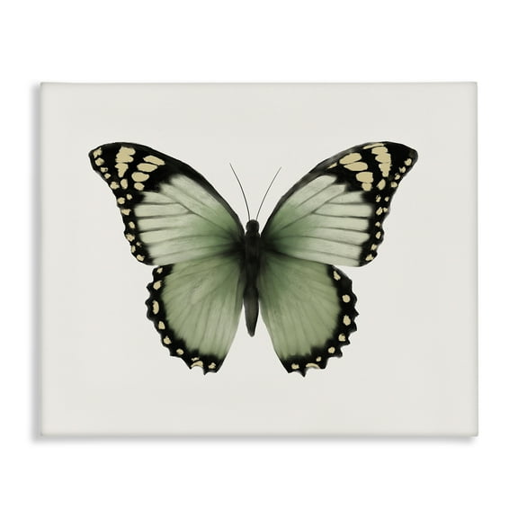 Stupell Industries Green Symmetrical Butterfly Animals Painting Wrapped Canvas Art Print Wall Art, 20 x 16