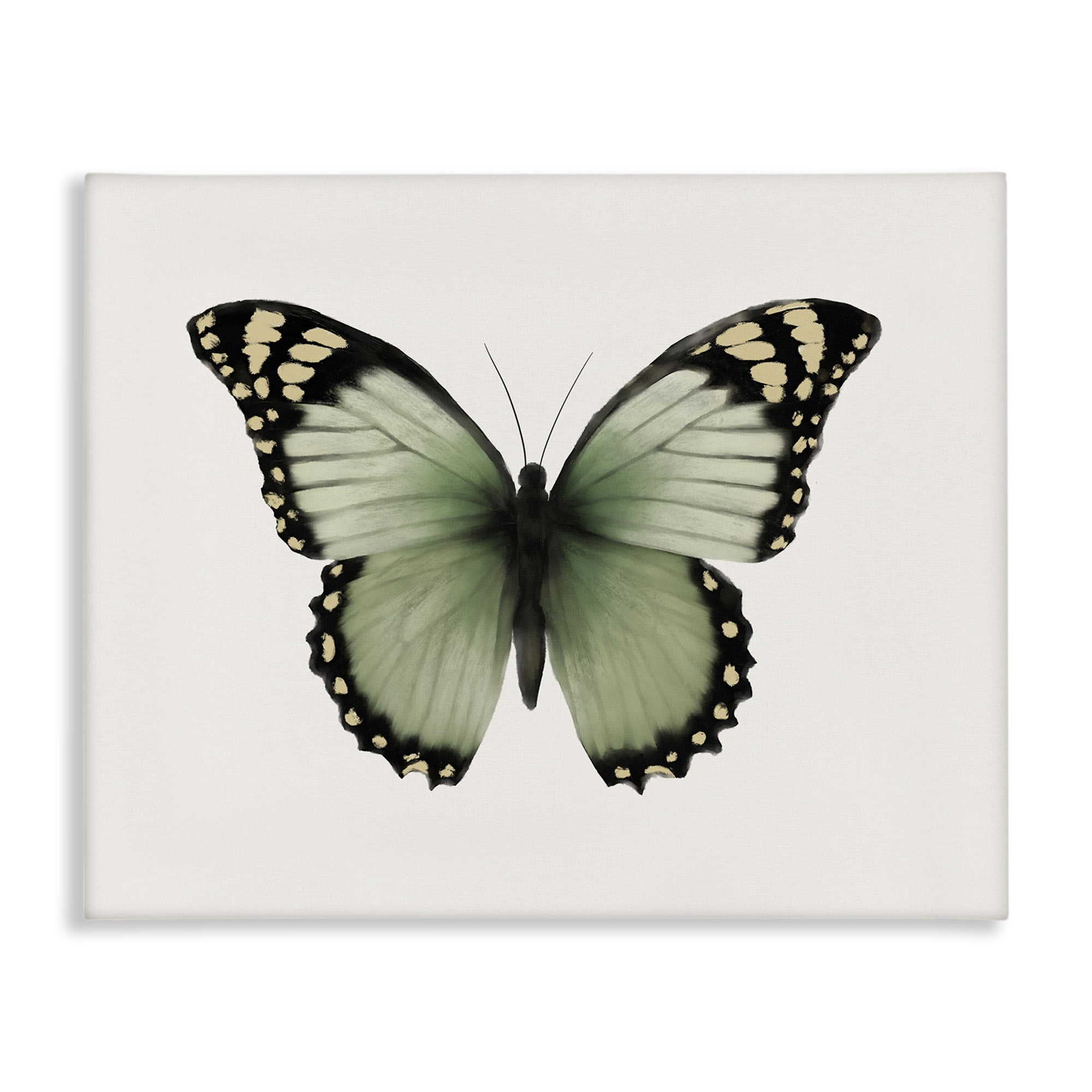 Stupell Industries Green Symmetrical Butterfly Animals Painting Wrapped Canvas Art Print Wall Art, 40 x 30