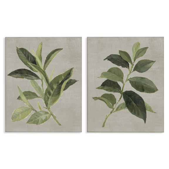 Stupell Industries Green Tea & Coffee Plant Leaves Floral Painting Wrapped Canvas Canvas Art Print Wall Art, 24 x 30, Set of 2