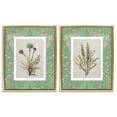thumbnail image 1 of Stupell Industries Shabby Chic Green Tone Herbal Blooms Gold 2pc Floating Frame Art Set, 25 x 31 each, by Carol Robinson, 1 of 7
