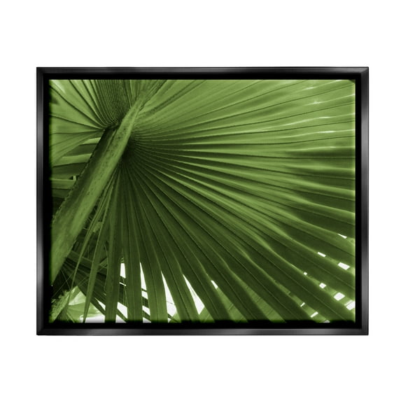 Stupell Industries Green Tropical Leaf Botanical & Floral Photography Black Floater Framed Art Print Wall Art, 21 x 17