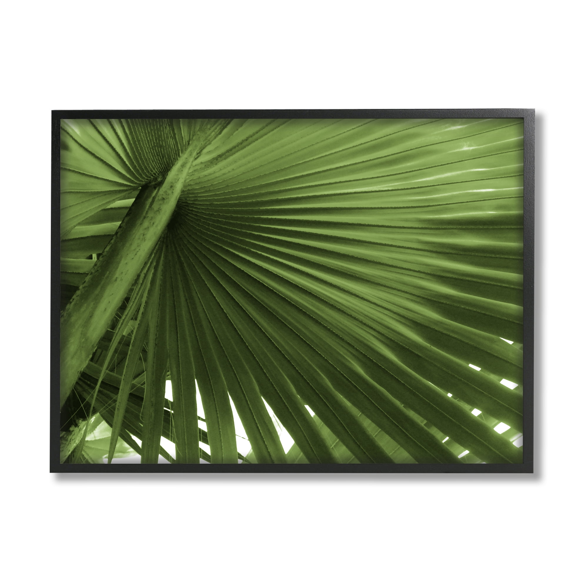 Green Tropical Leaf Print in Black Modern Frame