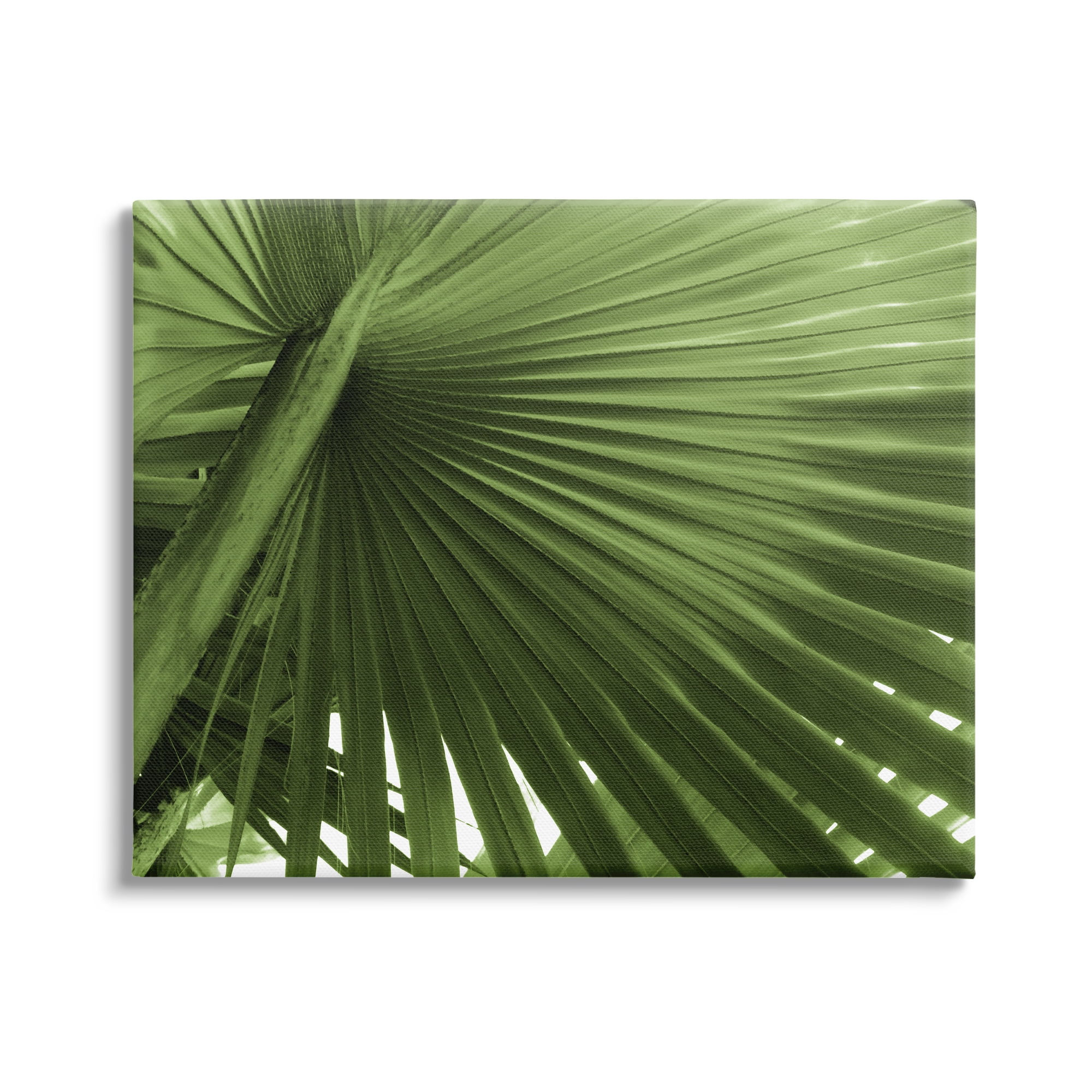 Green Tropical Leaf Canvas Print Wall Art, 20 x 16