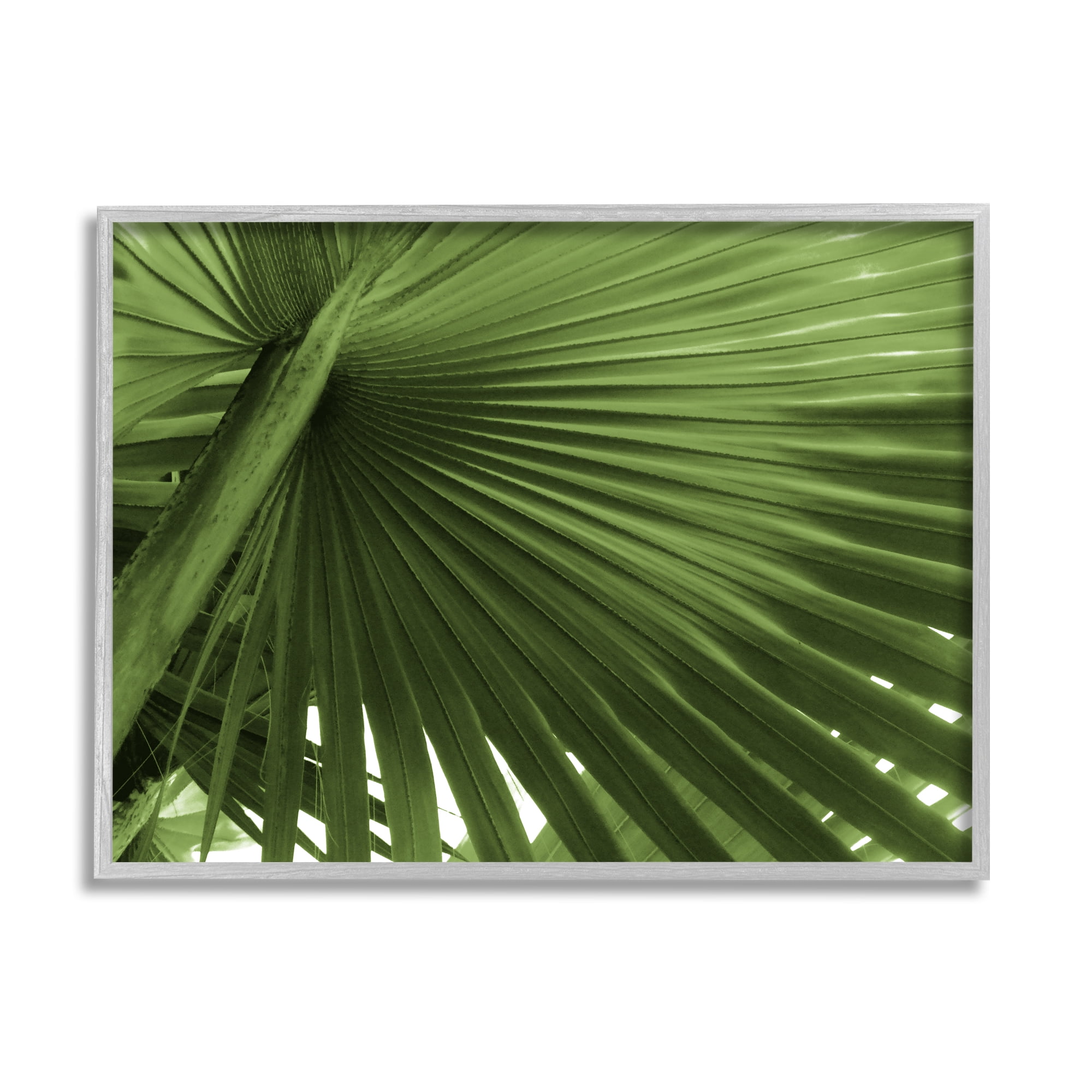Stupell Industries Green Tropical Leaf Botanical & Floral Photography Gray Framed Art Print Wall Art, 20 x 16