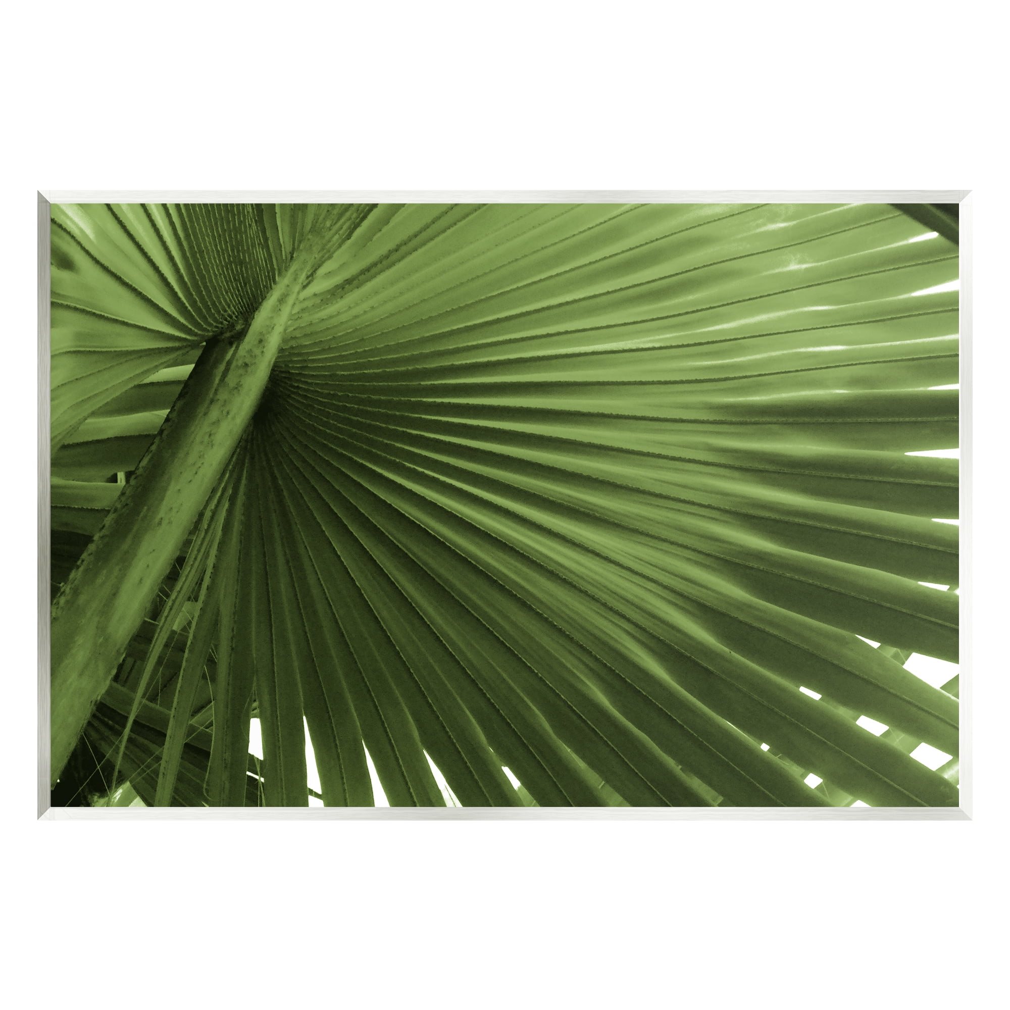 Green Tropical Leaf Botanical MDF Wood Wall Art Plaque