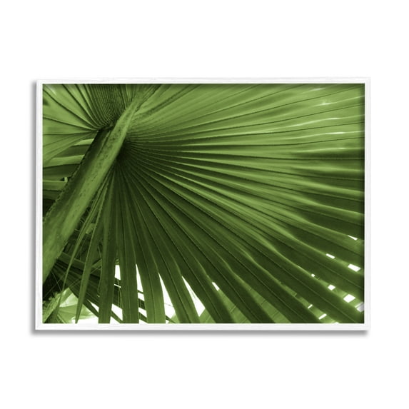 Stupell Industries Green Tropical Leaf Botanical & Floral Photography White Framed Art Print Wall Art, 14 x 11