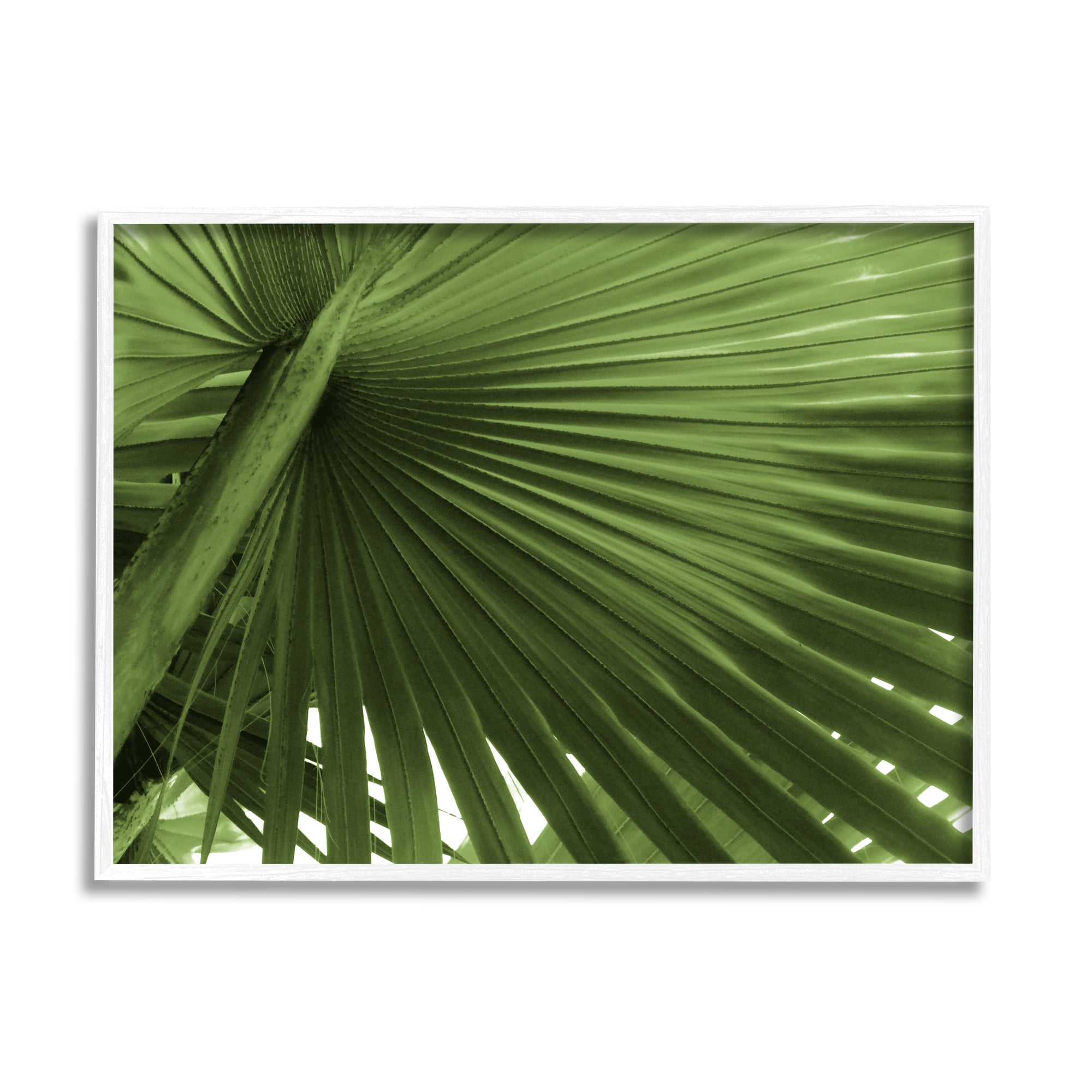 Stupell Industries Green Tropical Leaf Botanical & Floral Photography White Framed Art Print Wall Art, 20 x 16