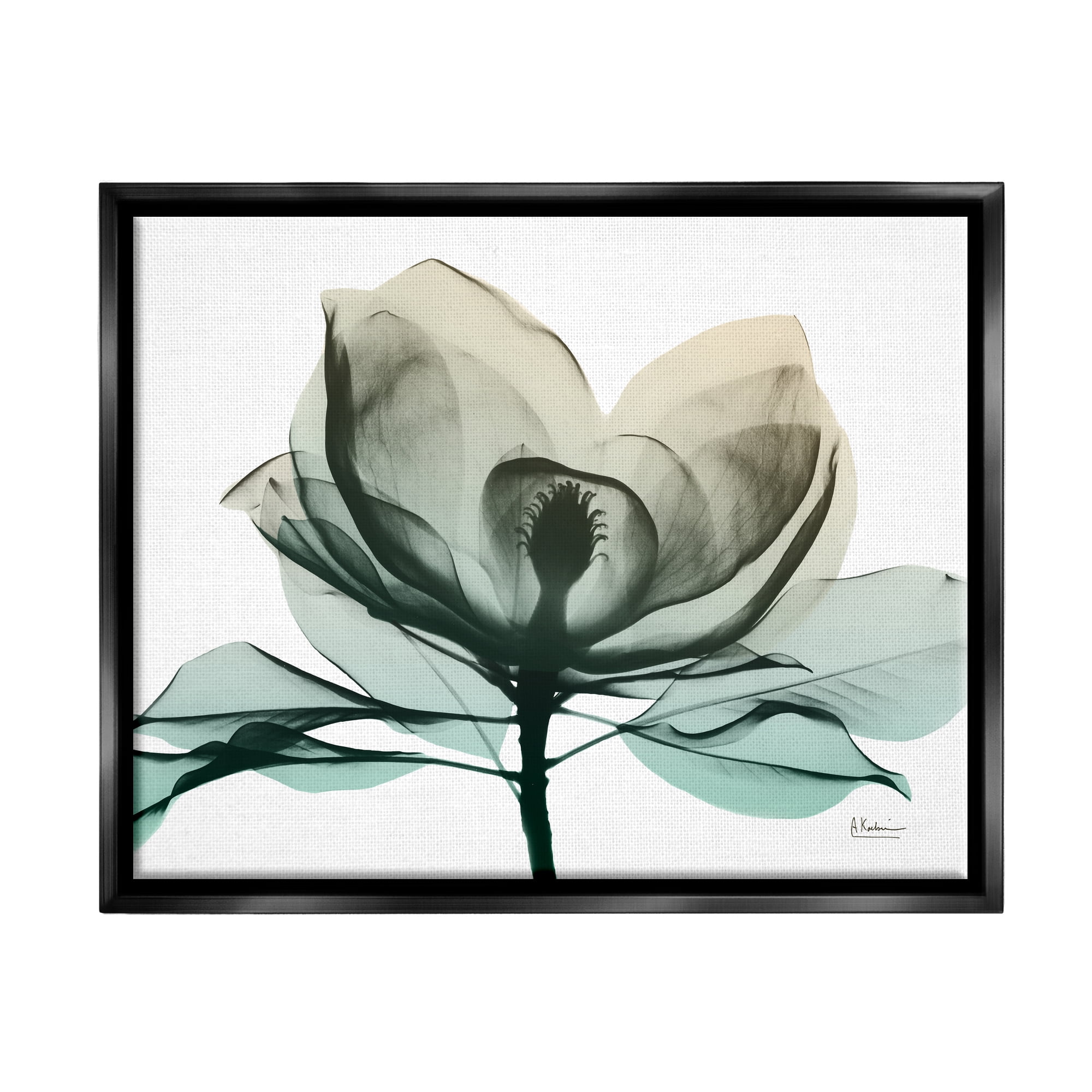 Stupell Industries Green X-Ray Flower Botanical & Floral Photography Black Floater Framed Art Print Wall Art, 21 x 17