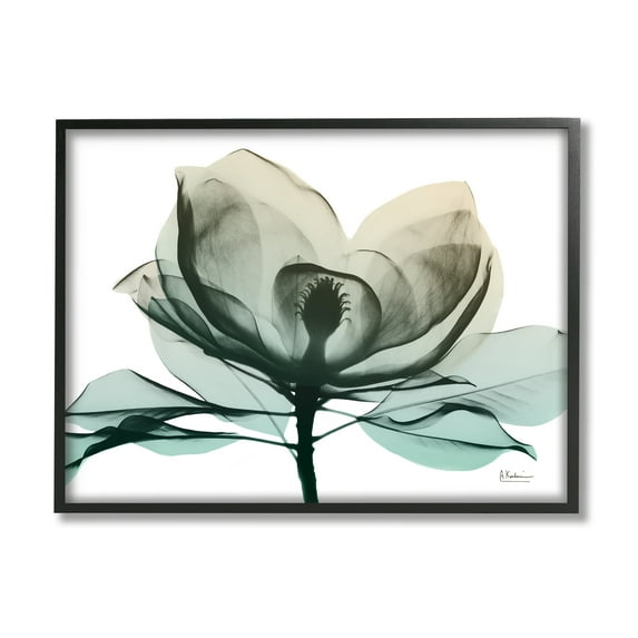 Stupell Industries Green X-Ray Flower Botanical & Floral Photography Black Framed Art Print Wall Art, 20 x 16