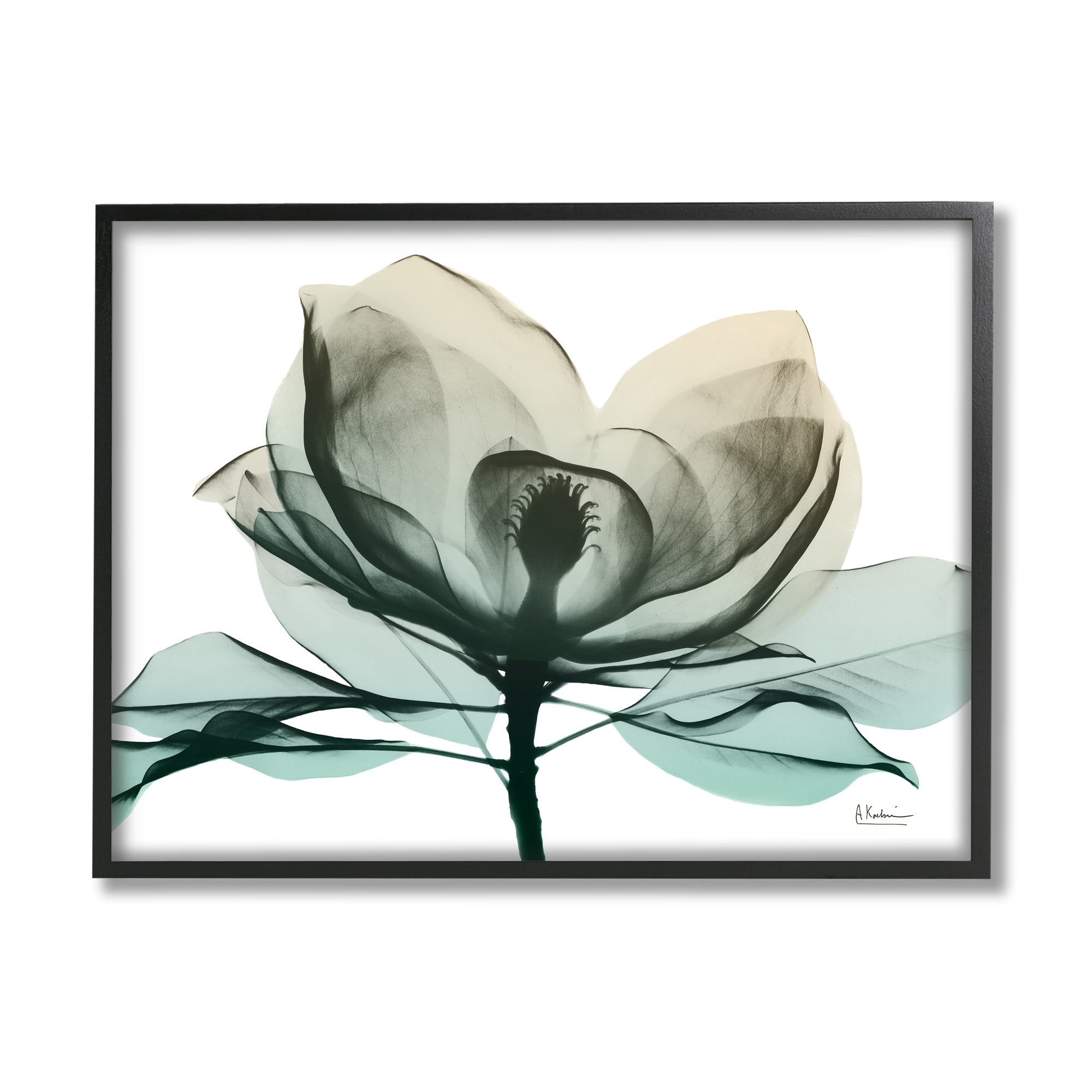 Stupell Industries Green X-Ray Flower Botanical & Floral Photography Black Framed Art Print Wall Art, 30 x 24