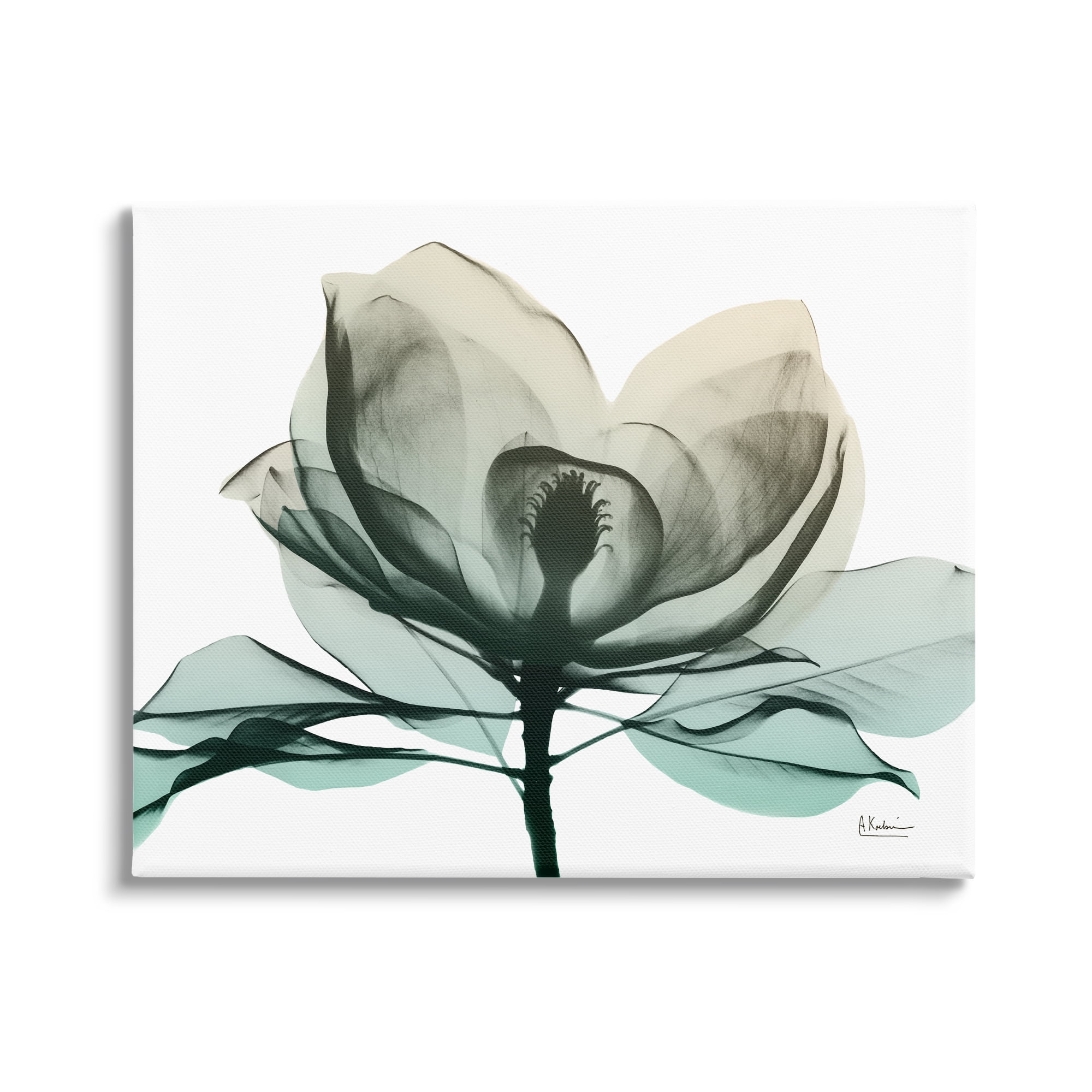 Stupell Industries Green X-Ray Flower Botanical & Floral Photography Gallery Wrapped Canvas Print Wall Art, 30 x 24