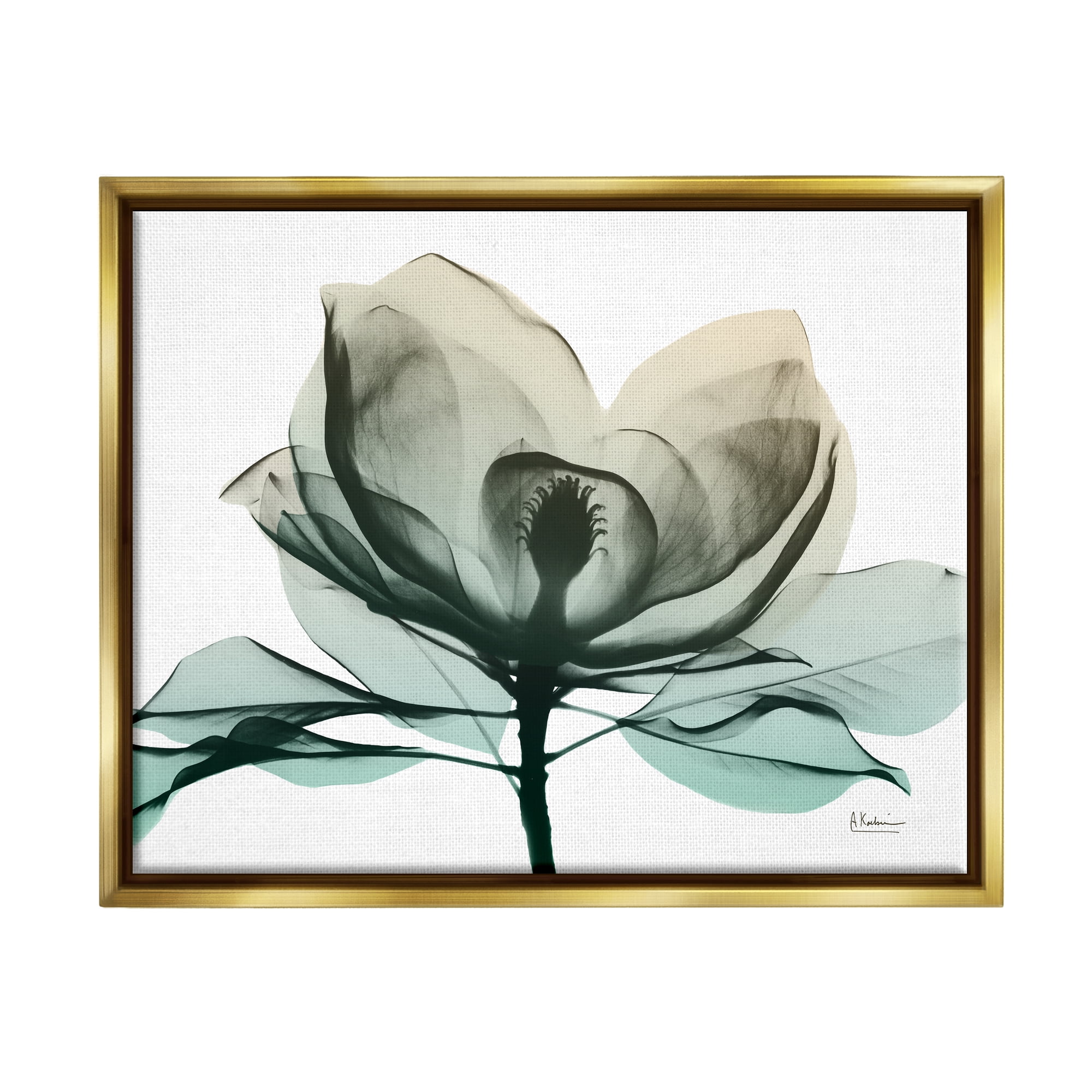 Stupell Industries Green X-Ray Flower Botanical & Floral Photography Gold Floater Framed Art Print Wall Art, 21 x 17
