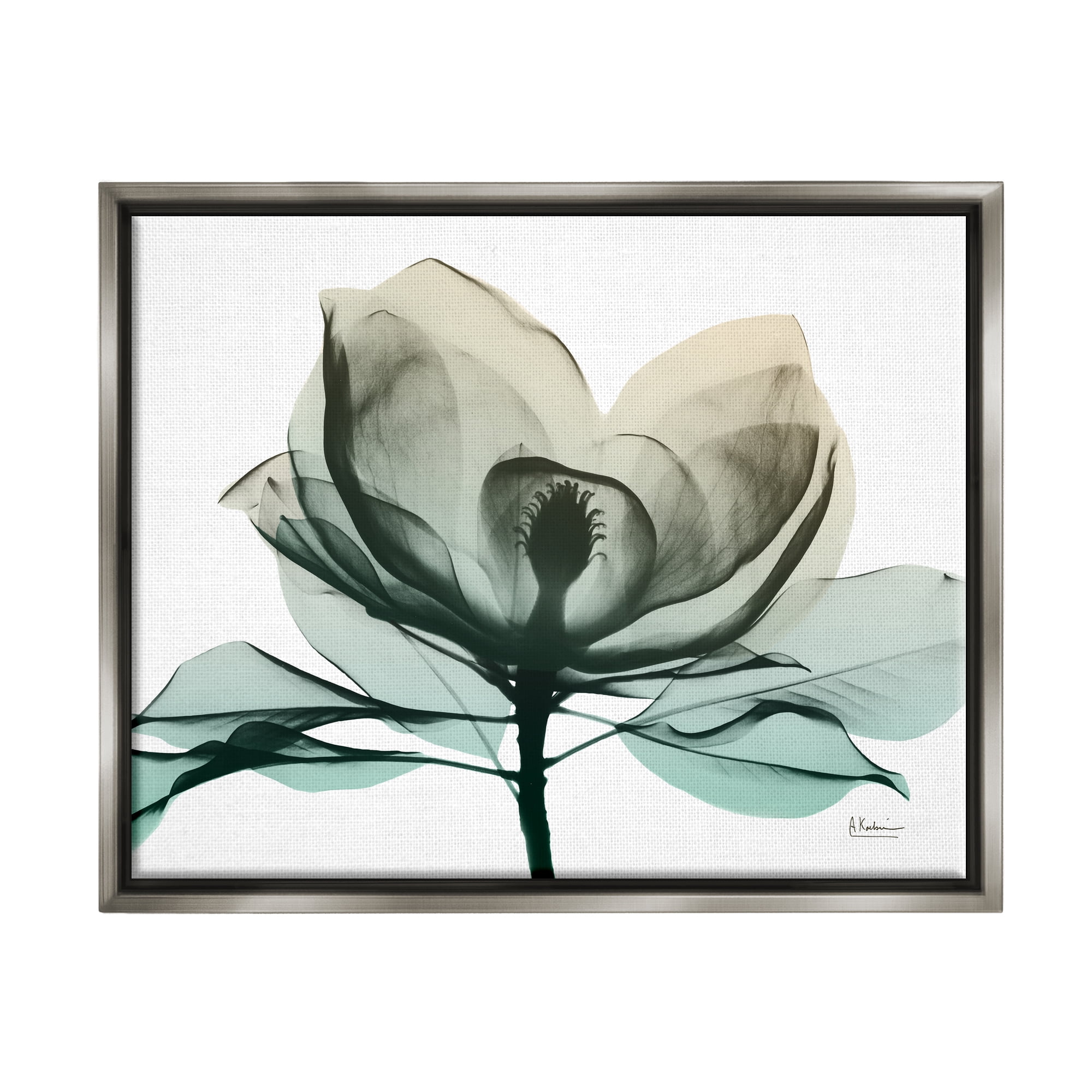Stupell Industries Green X-Ray Flower Botanical & Floral Photography Gray Floater Framed Art Print Wall Art, 31 x 25