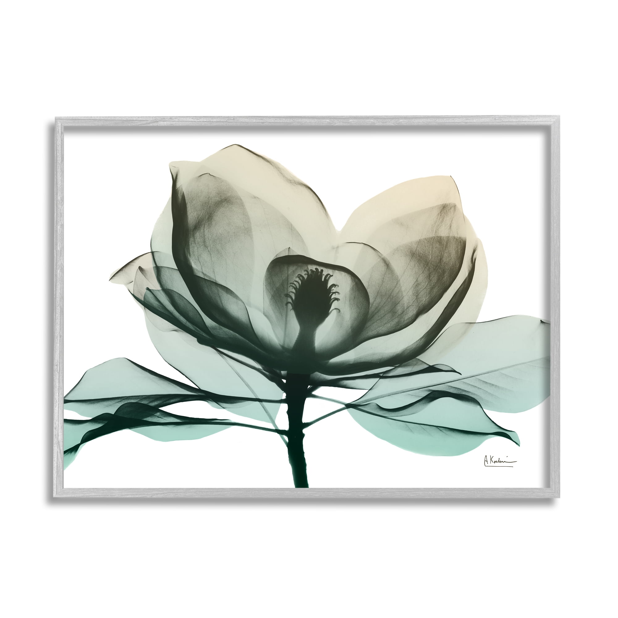 Stupell Industries Green X-Ray Flower Botanical & Floral Photography Gray Framed Art Print Wall Art, 30 x 24