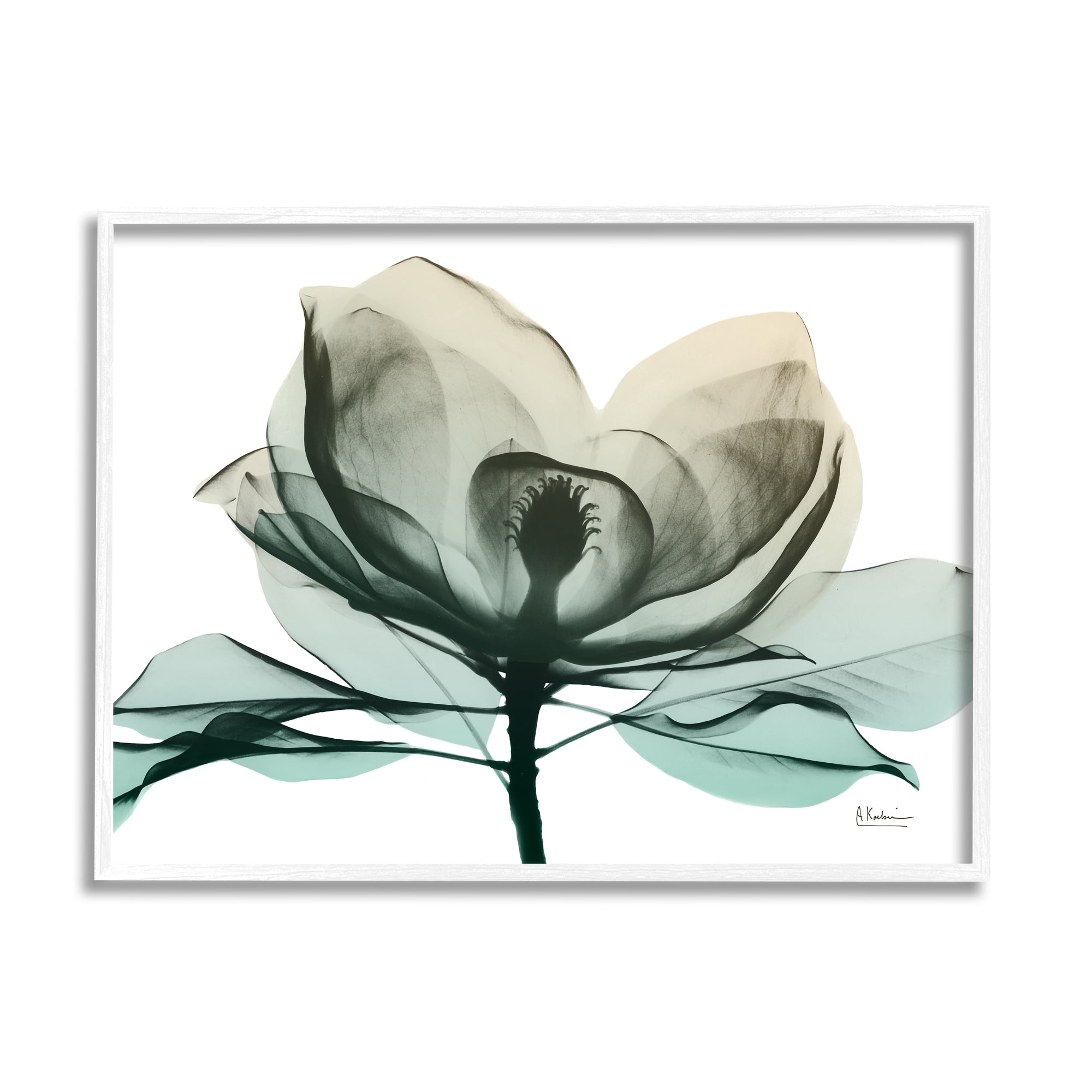 Stupell Industries Green X-Ray Flower Botanical & Floral Photography White Framed Art Print Wall Art, 30 x 24