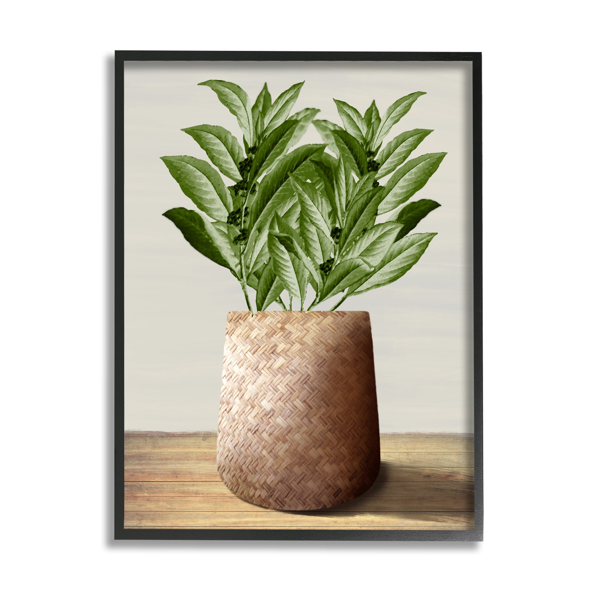 Stupell Industries Greenery in Woven Planter Botanical & Floral Painting Black Framed Art Print Wall Art, 16 x 20