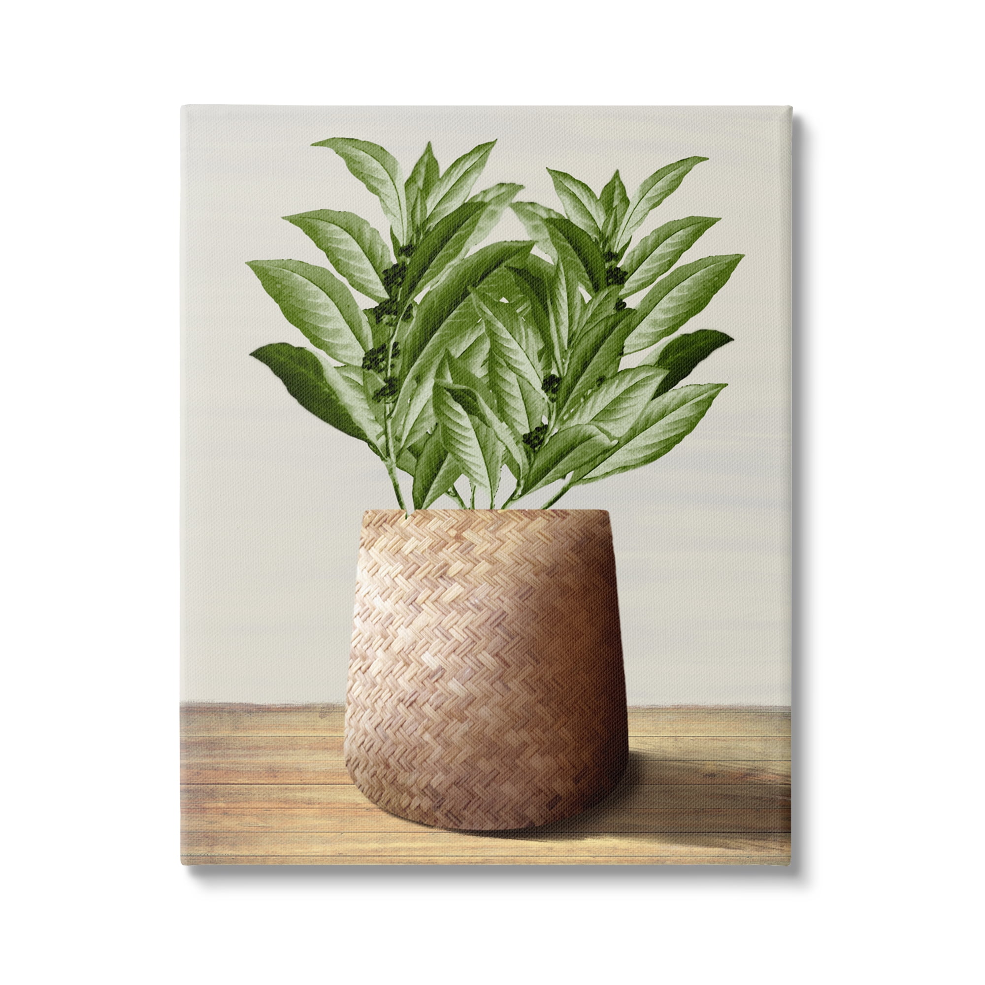 Stupell Industries Greenery in Woven Planter Botanical & Floral Painting Gallery Wrapped Canvas Art Print Wall Art, 30 x 40