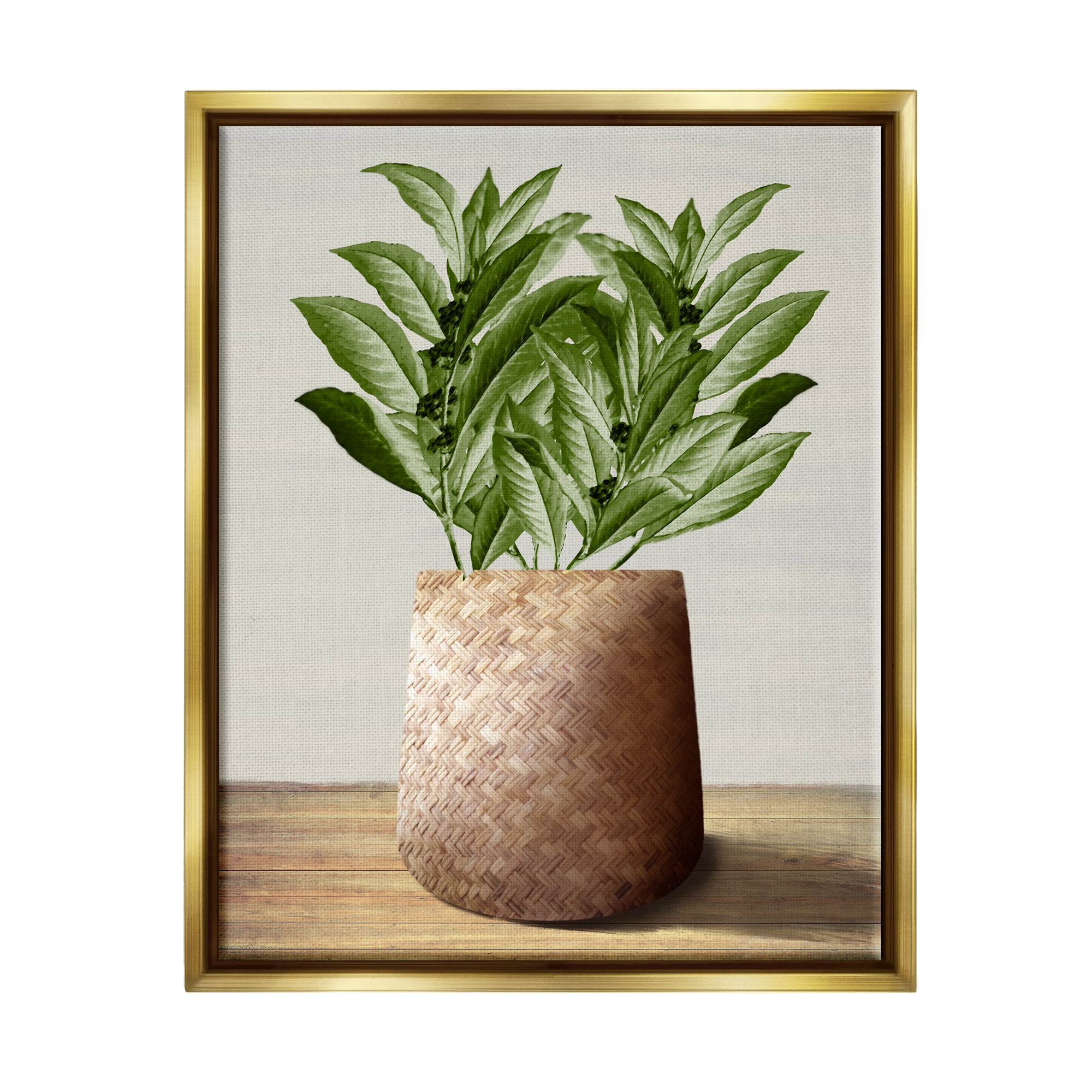 Stupell Industries Greenery in Woven Planter Botanical & Floral Painting Gold Floater Framed Canvas Art Print Wall Art, 25 x 31