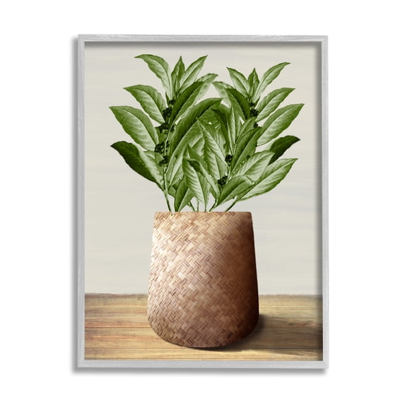 Stupell Industries Greenery in Woven Planter Botanical & Floral Painting Gray Framed Art Print Wall Art, 11 x 14