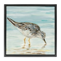 Stupell Industries Grey Beach Sandpiper Animals & Insects Painting Black Floater Framed Canvas Art Print Wall Art, 18 x 18