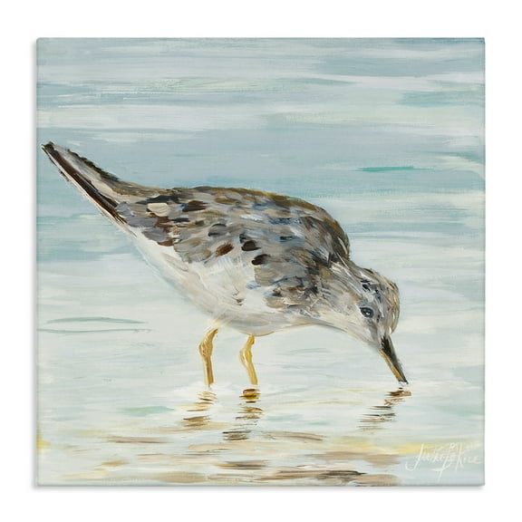 Stupell Industries Grey Beach Sandpiper Animals & Insects Painting Gallery Wrapped Canvas Art Print Wall Art, 17 x 17