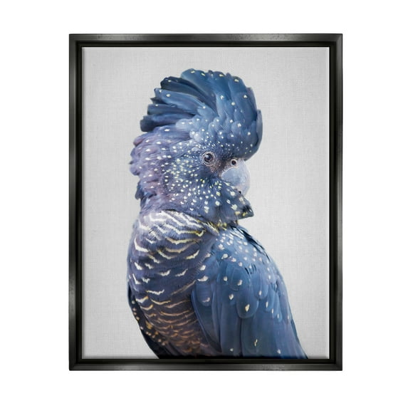 Stupell Industries Grey Cockatoo Portrait Animals & Insects Photography Black Floater Framed Art Print Wall Art, 17 x 21