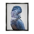 thumbnail image 1 of Stupell Industries Grey Cockatoo Portrait Animals & Insects Photography Black Floater Framed Art Print Wall Art, 25 x 31, 1 of 9