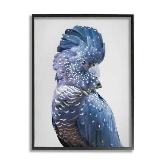 Stupell Industries Grey Cockatoo Portrait Animals & Insects Photography Black Framed Art Print Wall Art, 11 x 14