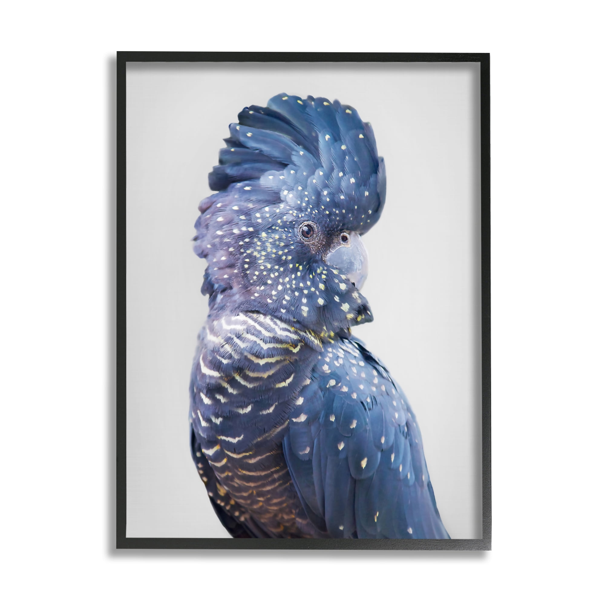 Stupell Industries Grey Cockatoo Portrait Animals & Insects Photography Black Framed Art Print Wall Art, 24 x 30