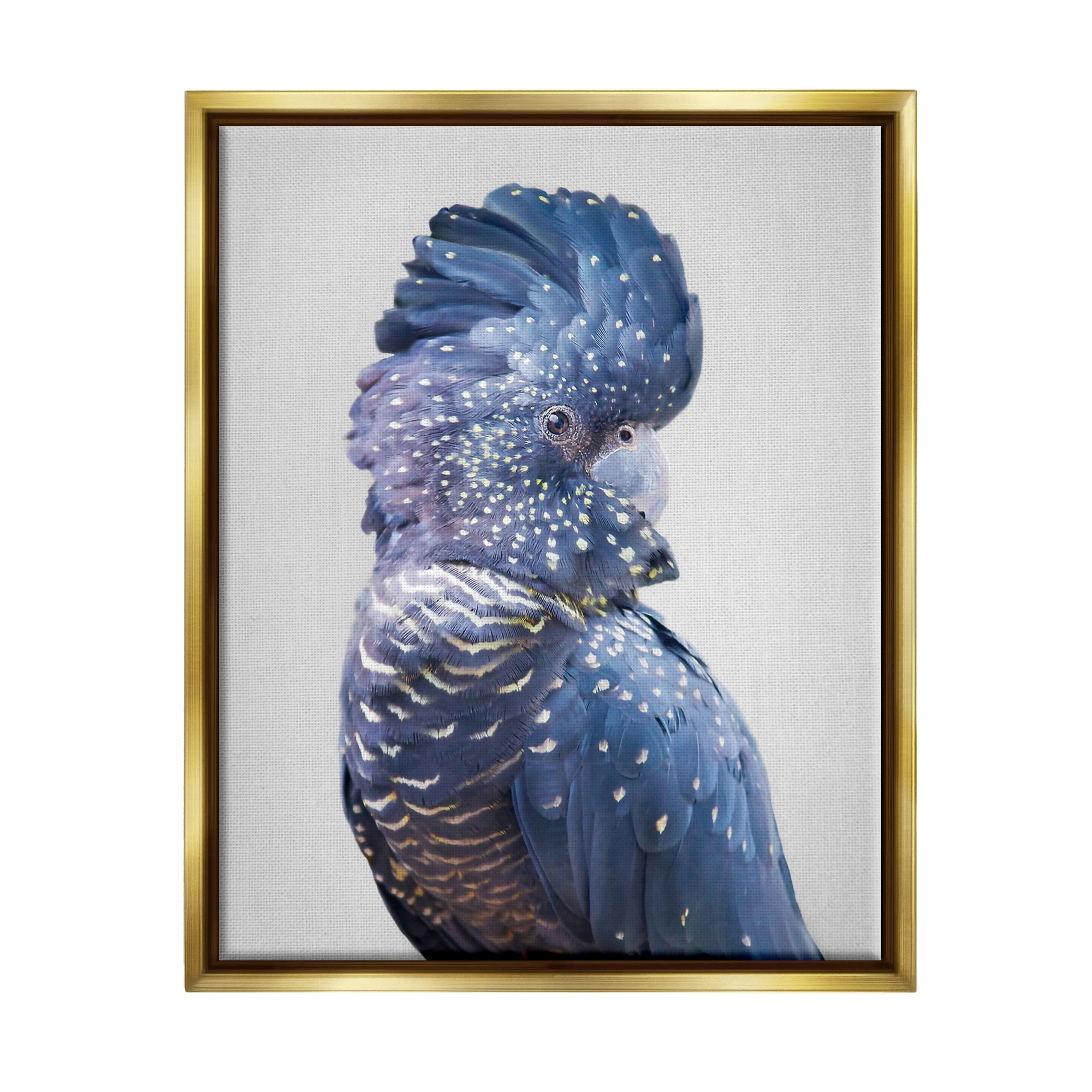 Stupell Industries Grey Cockatoo Portrait Animals & Insects Photography Gold Floater Framed Art Print Wall Art, 25 x 31