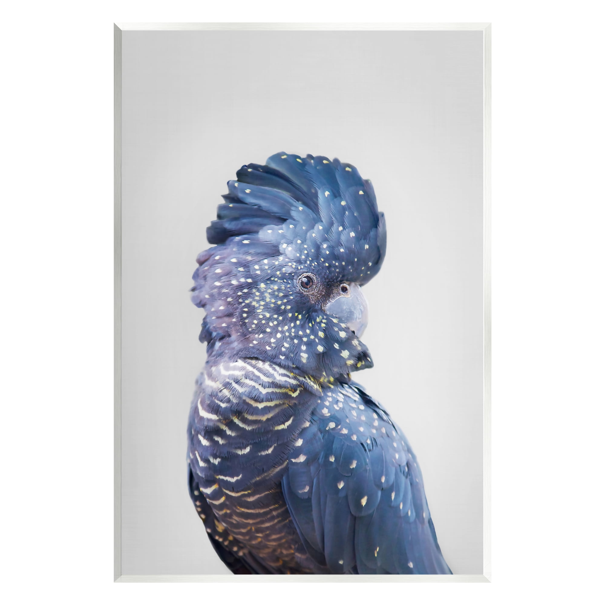 Stupell Industries Grey Cockatoo Portrait Animals & Insects Photography Unframed Art Print Wall Art, 13 x 19