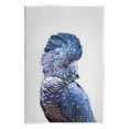 thumbnail image 1 of Stupell Industries Grey Cockatoo Portrait Animals & Insects Photography Unframed Art Print Wall Art, 13 x 19, 1 of 6
