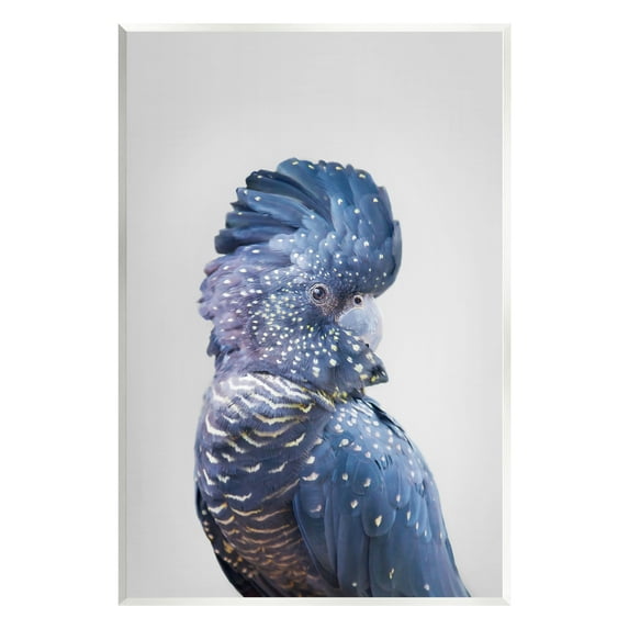 Stupell Industries Grey Cockatoo Portrait Animals & Insects Photography Unframed Art Print Wall Art, 13 x 19