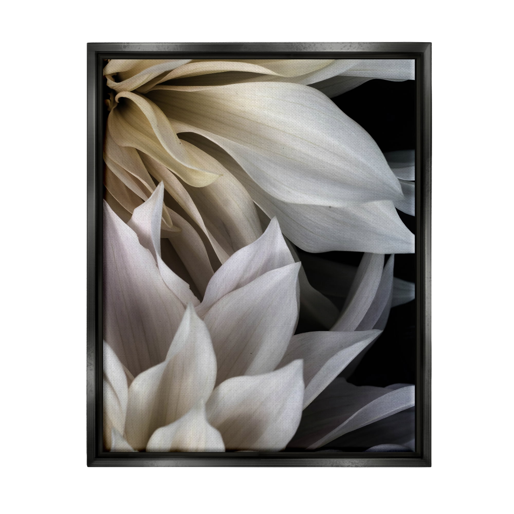 Stupell Industries Grey Dahlia Petals Botanical & Floral Photography Black Floater Framed Art Print Wall Art, 17 x 21