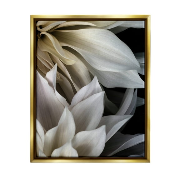 Stupell Industries Grey Dahlia Petals Botanical & Floral Photography Gold Floater Framed Art Print Wall Art, 17 x 21