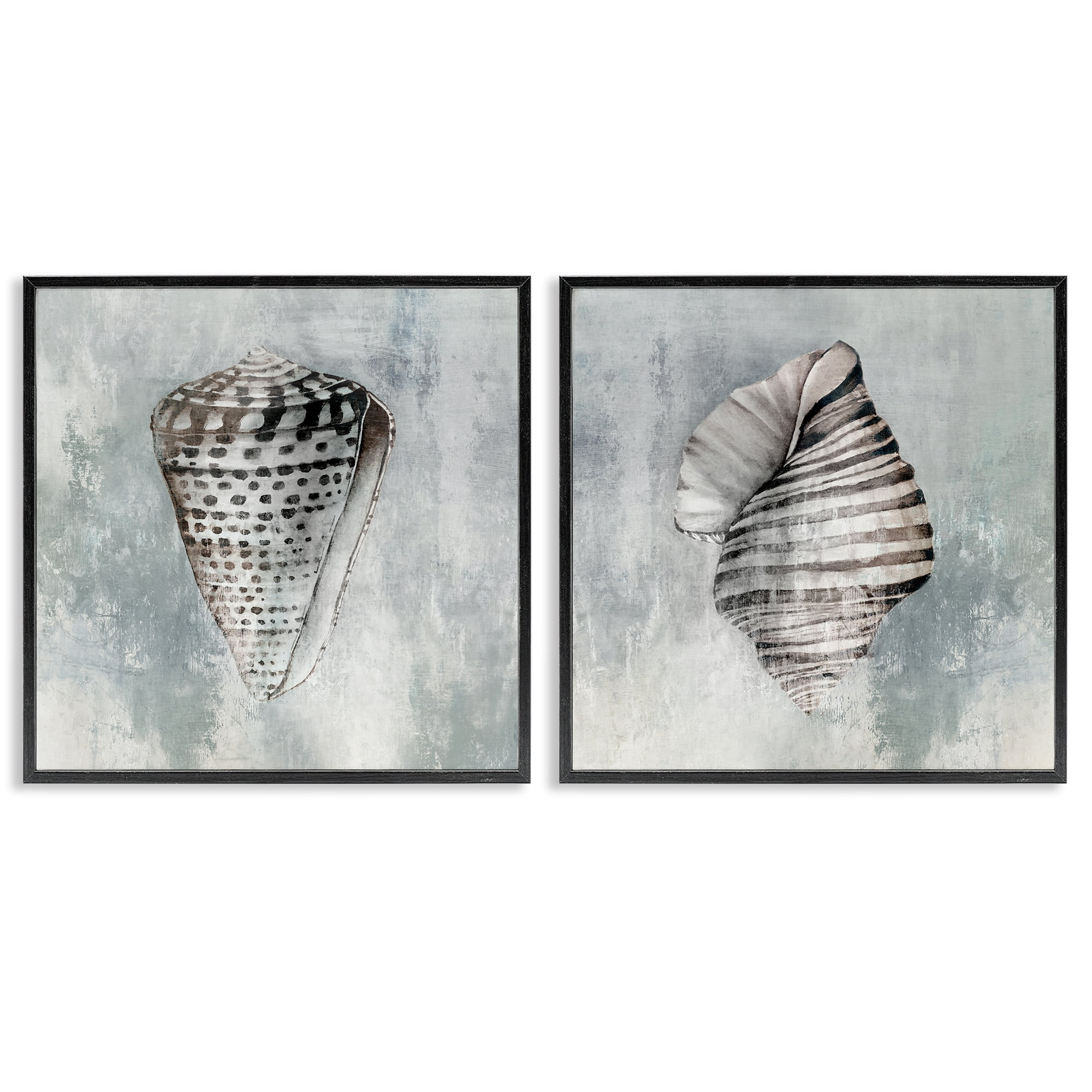 Stupell Industries Grey Distressed Cowrie Shells Nautical & Beach Painting Black Framed Art Print Wall Art, 12 x 12, Set of 2
