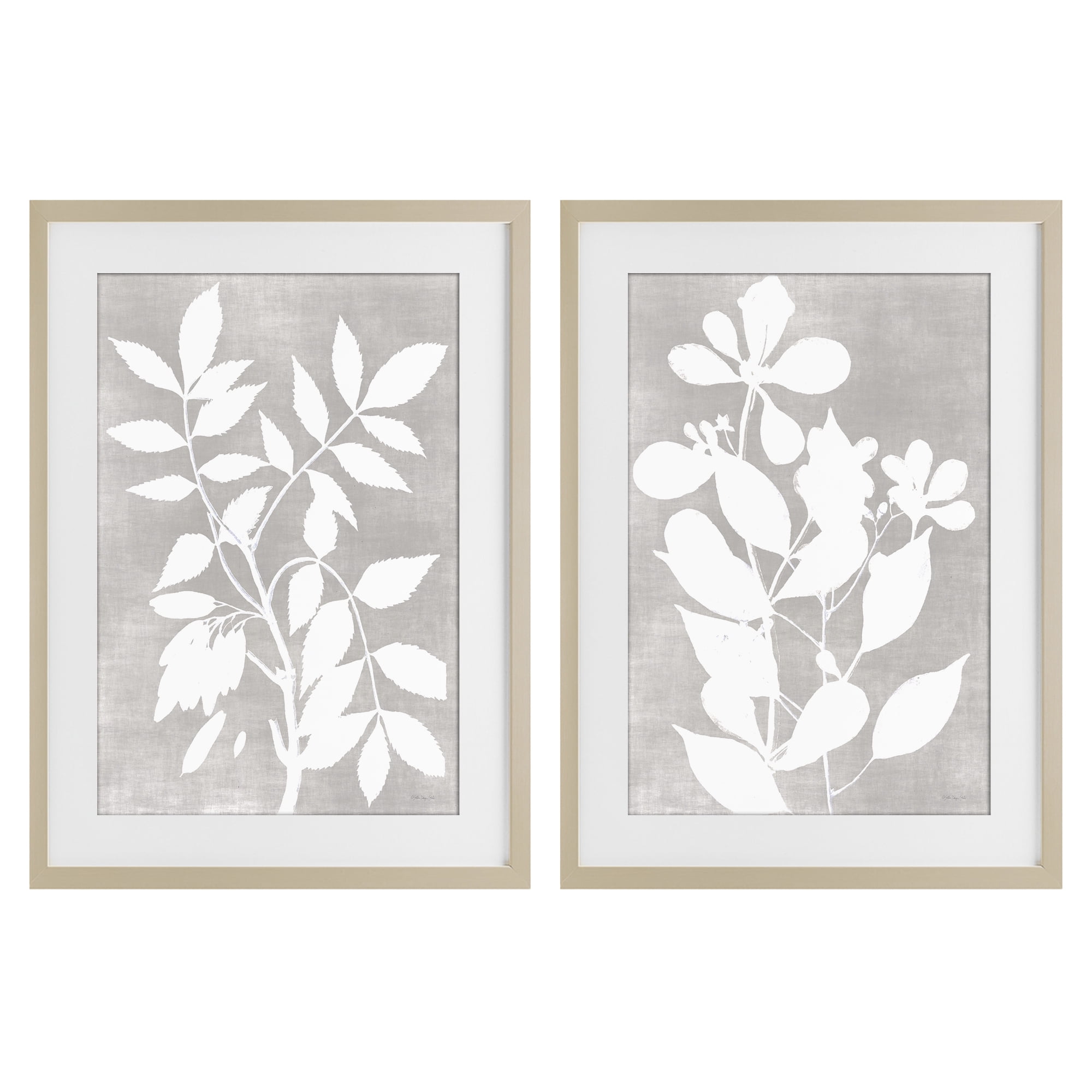 Stupell Industries Grey Foliage Impression 2 Piece Birch Framed Print Under Glass Set, design by Stellar Design Studio