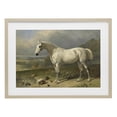 thumbnail image 1 of Stupell Industries Rustic Lodge Grey Horse And Ducks In Landscape Birch Framed Print Under Glass, 20 x 14, by Tina LeCour, 1 of 8