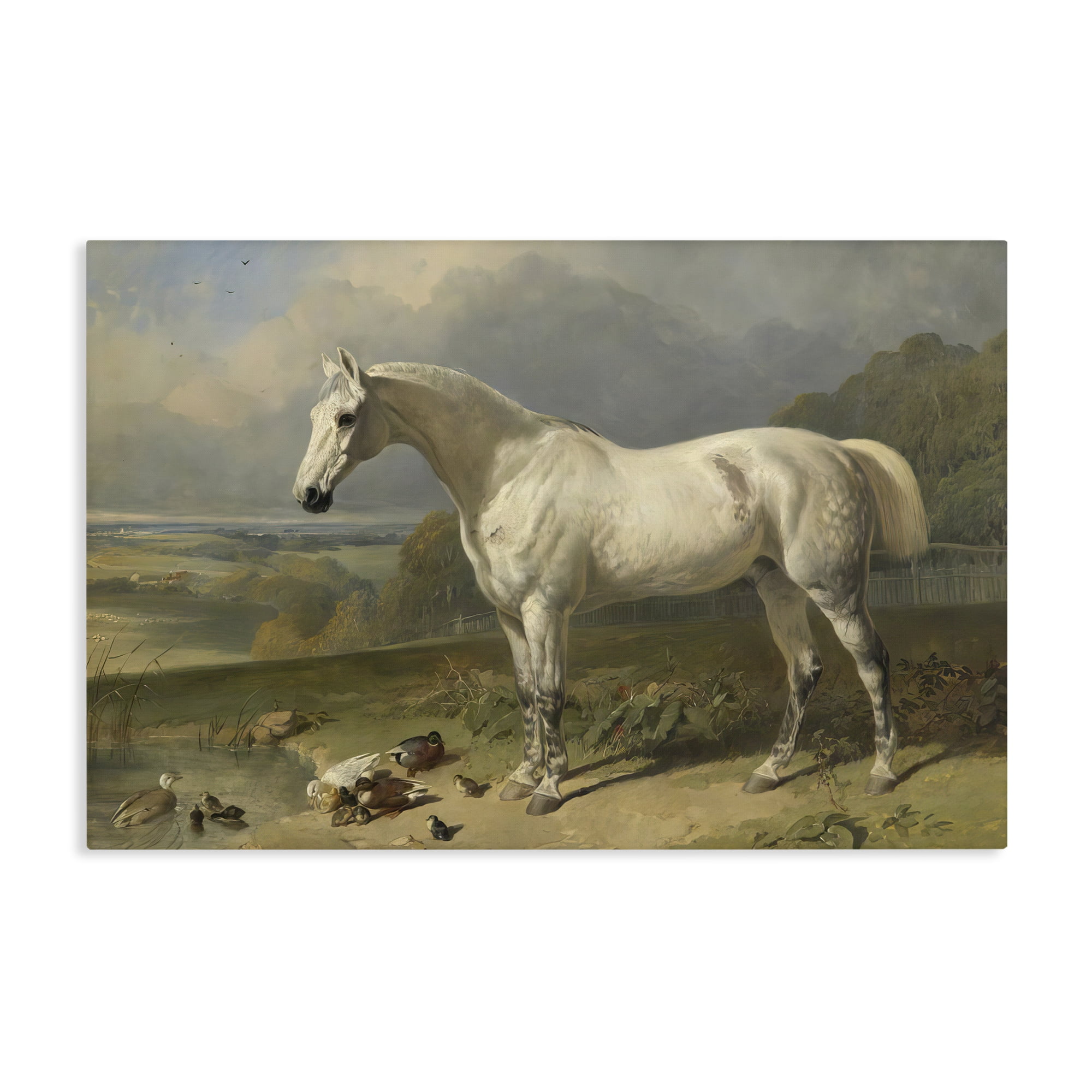 Stupell Industries Grey Horse And Ducks In Landscape Canvas Wall Art, design by Tina LeCour