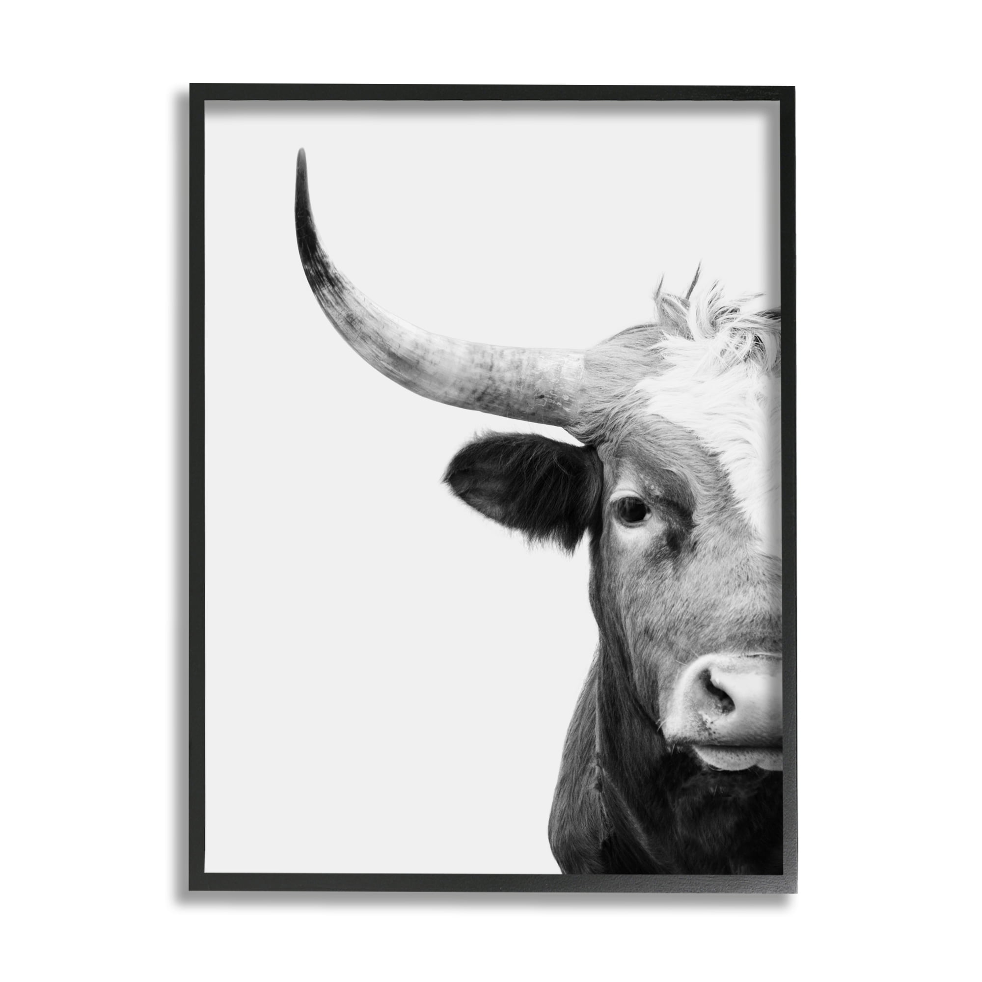 Stupell Industries Grey Longhorn Portrait Animals & Insects Photography Black Framed Art Print Wall Art, 24 x 30