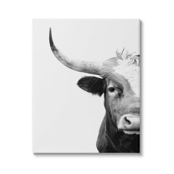 Stupell Industries Grey Longhorn Portrait Animals & Insects Photography Gallery Wrapped Canvas Print Wall Art, 16 x 20