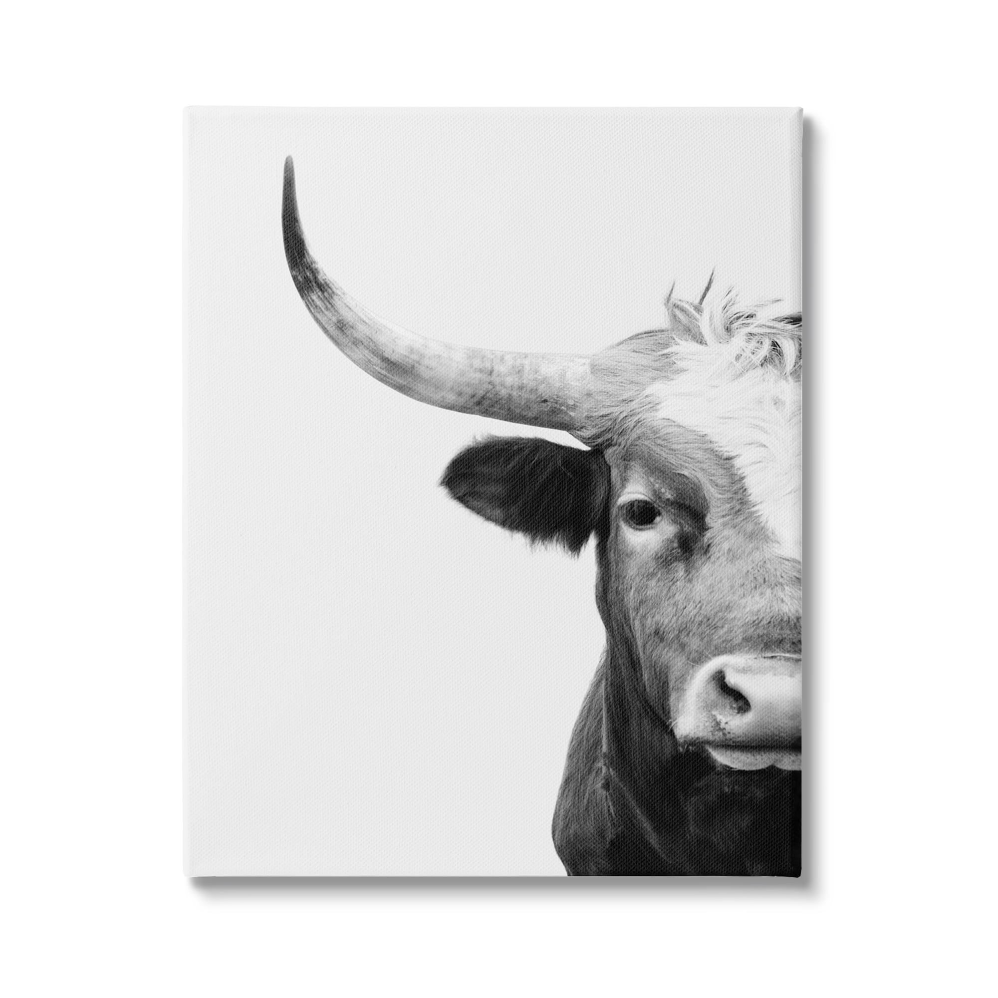 Stupell Industries Grey Longhorn Portrait Animals & Insects Photography Gallery Wrapped Canvas Print Wall Art, 36 x 48