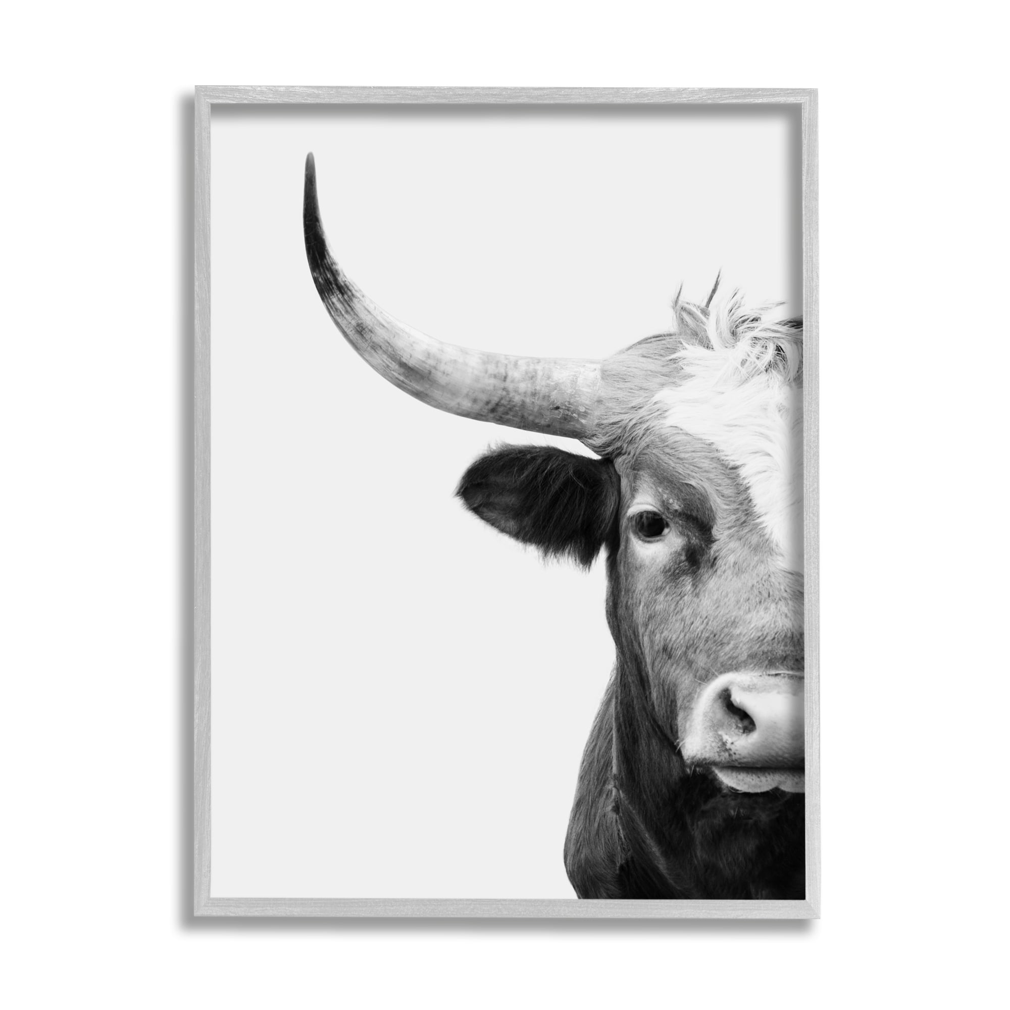 Stupell Industries Grey Longhorn Portrait Animals & Insects Photography Gray Framed Art Print Wall Art, 11 x 14