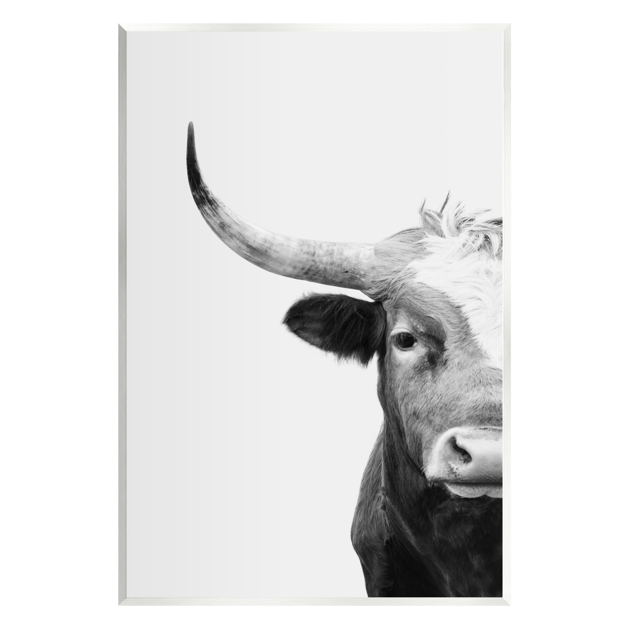 Stupell Industries Grey Longhorn Portrait Animals & Insects Photography Unframed Art Print Wall Art, 13 x 19