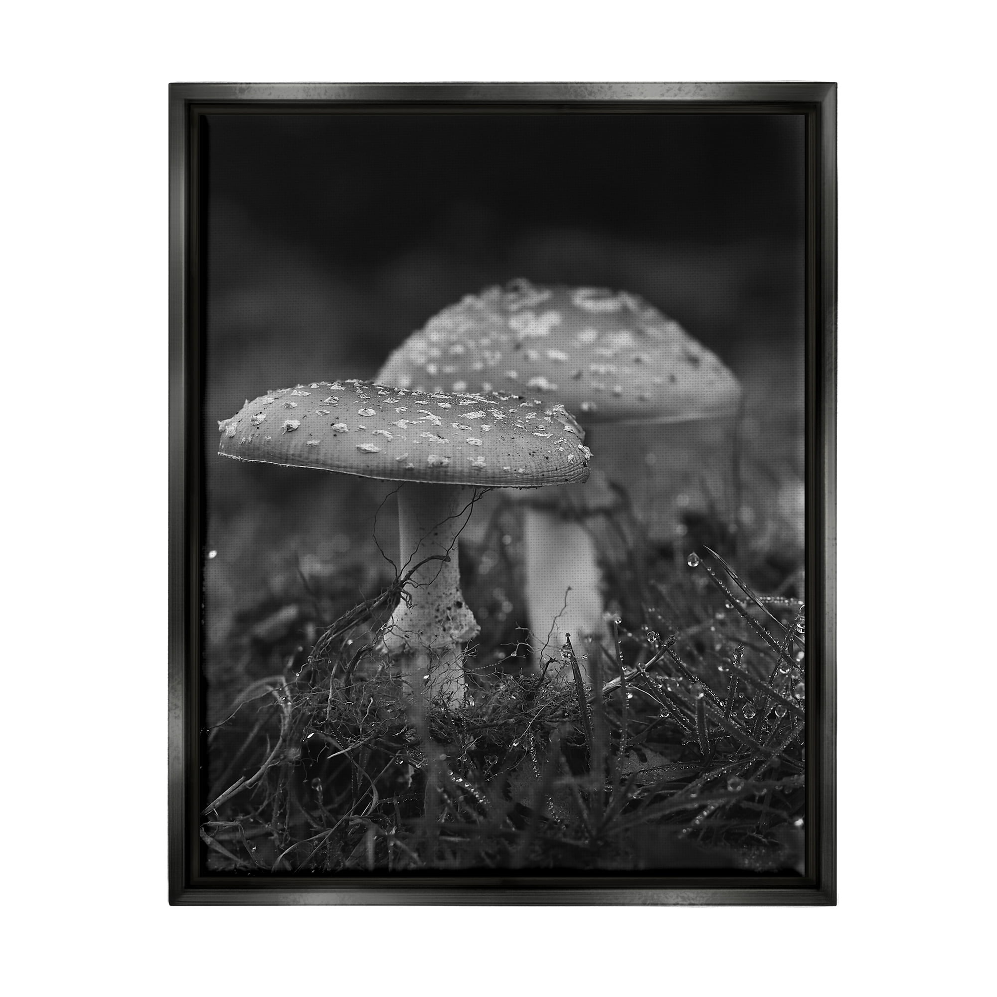 Stupell Industries Grey Mushroom Photography Botanical & Floral Photography Black Floater Framed Canvas Art Print Wall Art, 25 x 31